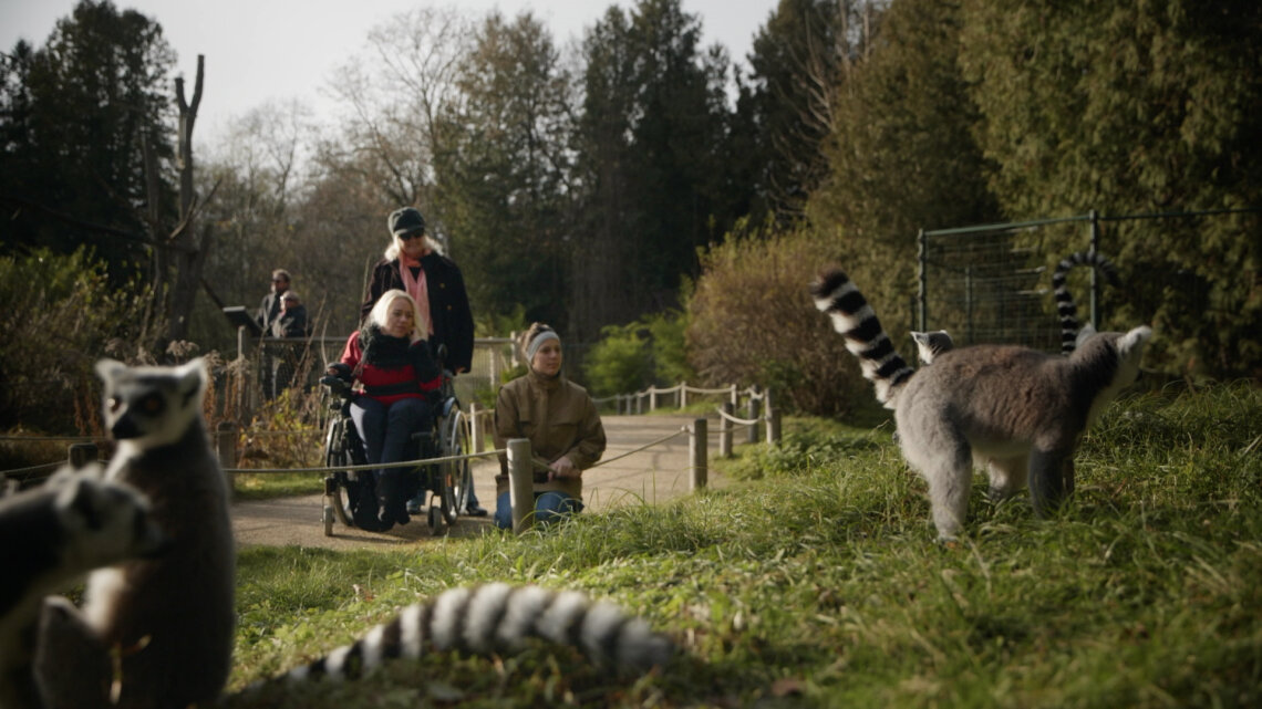 Das Video zeigt, dass der Zoologische Garten Augsburg für Besucherinnen und Besucher mit Rollstuhl gut zugänglich ist. 